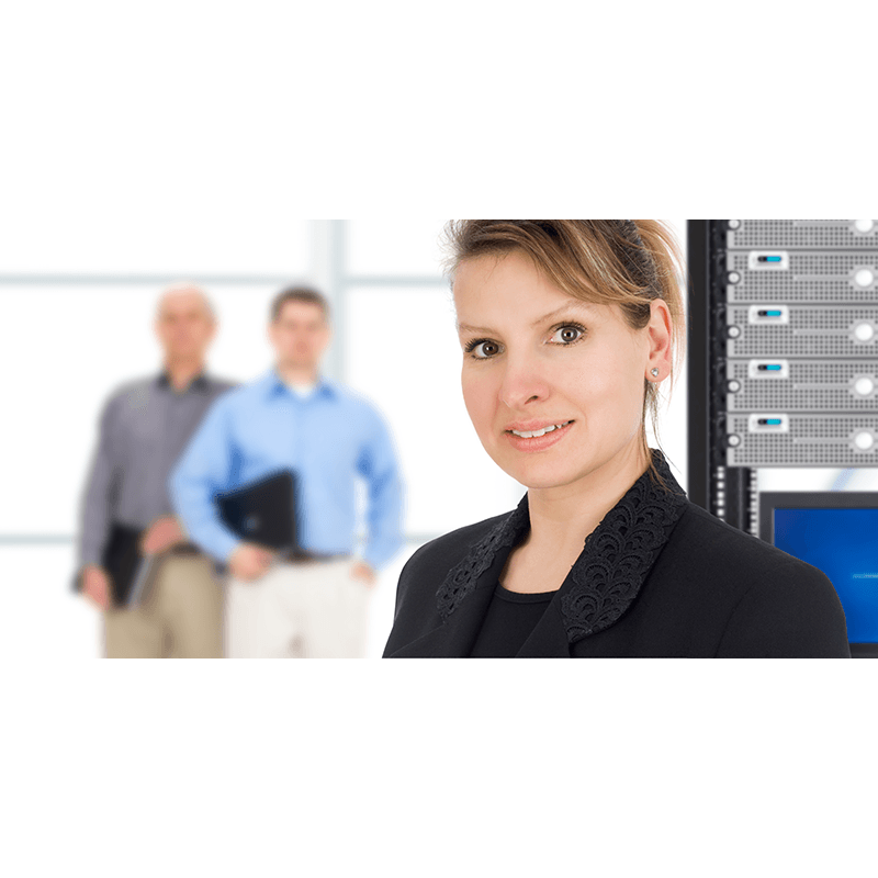 Businesswoman and IT team stock photo