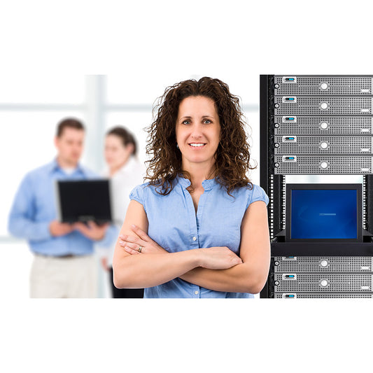 Businesswoman and IT support team stock photo